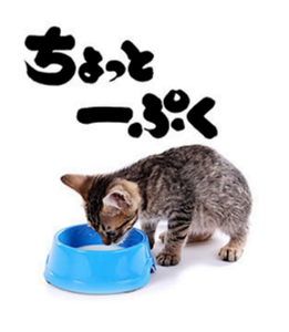 サロンくつろぎ おはよう(^^) 今日は曇りのち晴れです。 最高気温34度 最低気温24度 の予報です。 でも雨がパラパラ 降ってたよ😄😄 最高温度が下がるのが 良いよね 息苦しくないしね さぁ今日も1日頑張りましょう。