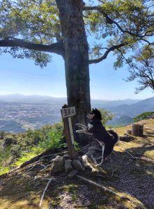 東海旅客鉄道 やっと復活ですかぁぁぁ～？
