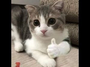 ★これから開花する銘柄を★ マネパに仕手が入ったので前場でイン!