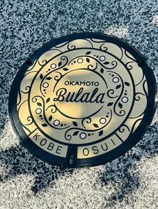 すずめのおしゃべり避難所☕ 数年ぶりなんですか？  かぶとやまと六甲の背景は和みます 岡本は懐かして通りましたん