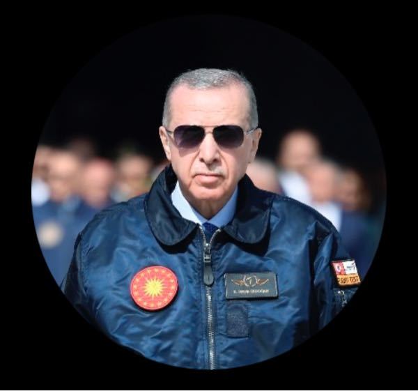 迷えるコウモリ ほーらErdoğanさんだよ!