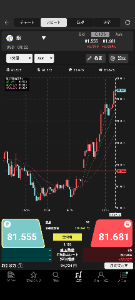 純銀上場信託(現物国内保管型)【1542】 いやーロングが美味しい！