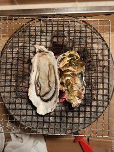 今後の相場の展開、来る銘柄、終焉を迎える銘柄 何故か夜中に焼き牡蠣と豚汁作成をしているワタクシ、みんな送り状番号をシステムに入力し忘れたクロネコのおばちゃんのせいや〜。 クロネコメンバーズ端末叩き続けた4時間を返せw