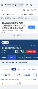 キャピタル 世界株式ファンド【9331107A】 いいね〜😻⤴️ もう一声📈😸