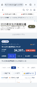 キャピタル 世界株式ファンド【9331107A】 今日で6連騰⤴️ ㊗️新高値更新です📈🍺😻