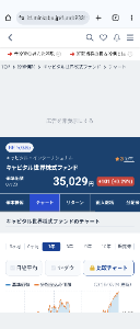 キャピタル 世界株式ファンド【9331107A】 ㊗️新高値更新🎊 🎊㊗️35000円突破です㊗️📈 皆さん🍺😺乾杯⤴️ 🎉㊗️😸🍻😻㊗️🎆