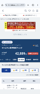 キャピタル 世界株式ファンド【9331107A】 利益11%プラスなら😸 私はONEピアインド株式ファンド 2年積立中で込み損マイナス8.7％です😹