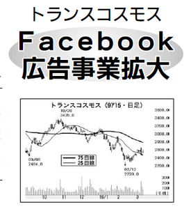 トランスコスモス(株)【9715】 【　10年前（2016年)　】 ～ 2016  ー。