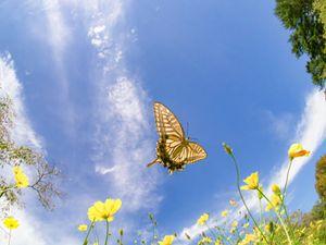 (株)北海電工【1832】 2024年4月には軽い軽い軽いぞ！でスルスル上がって 1583円までいった株だからね！！ このままクジラさんとアゲハチョウさんが来てくれれば2000円越えるよ！！！