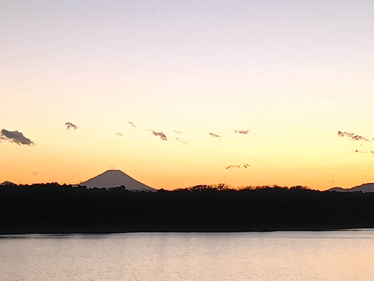 備忘録として 今晩はコ鉄さん。  最近多摩湖散歩にハマリ 夜がいそがしくて、 見せてもらってばかりです🤗 10時頃に端株中心の注文だしています。 徹子の部屋を観ながら、ランチして ３時過ぎると慌てで 出掛ける準備しています😧  スーパーで買い物すると 直ぐに五千円位になってしまいます。 国産を選んでいるからかも…  珈琲は国産でないですが 楽天で買っていますが〜 高くなりましたね