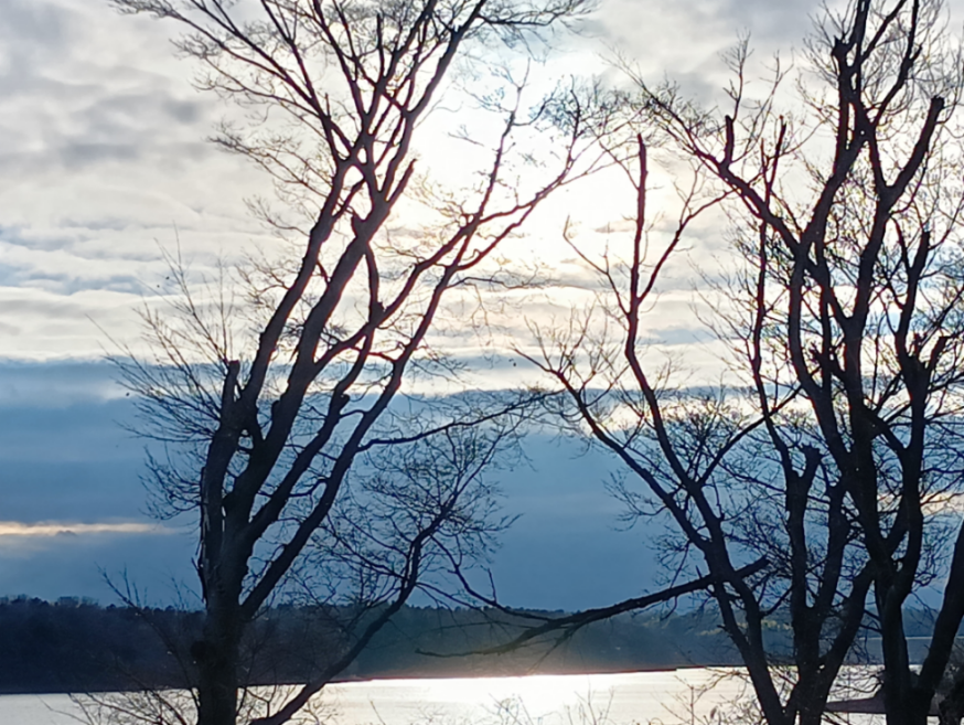 備忘録として 今晩は、コ鉄さん カレー🍛美味しいですね 残念ですけど、胃に負担が くるので暫く食べていません😆 ホワイトシチューをよく作って います 以前は、小麦粉に牛乳を 少しずつ入れて本格的に 作っていましたが… 今は、カレーと同じように ルーを買って、炊飯器で 手軽に作っています🙆 味は、中々良いです😊 株は暫く様子見になりますね