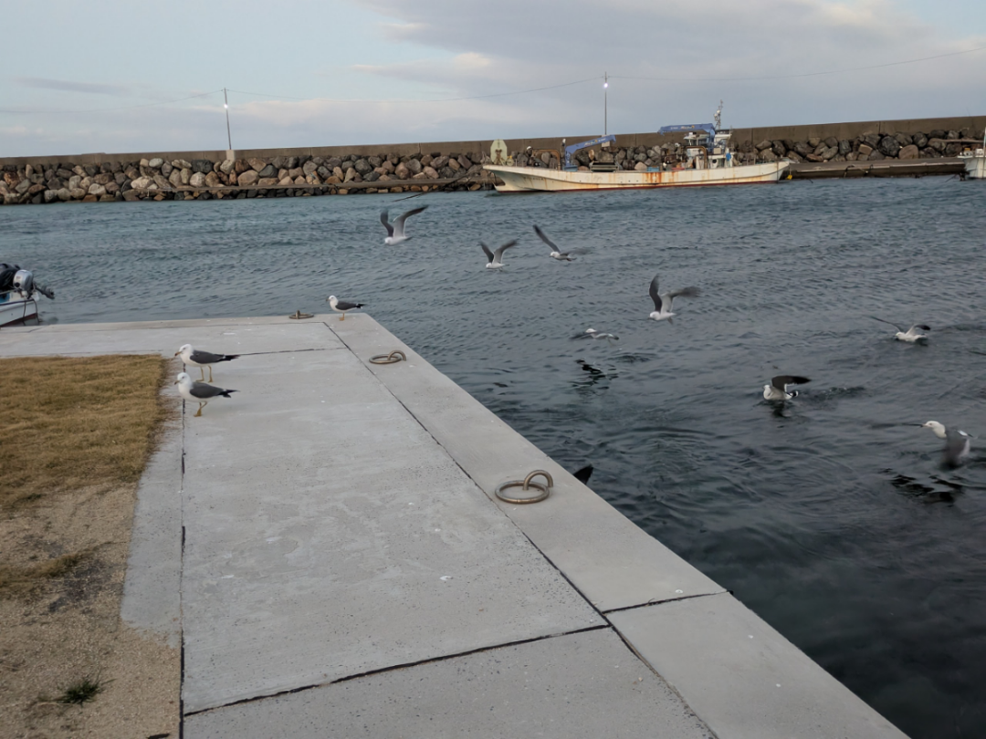 (株)エス・サイエンス【5721】 みなさんおはようございます。🦆☁️🌊🌀🐐 我健康維持の為に寒風の中で奉仕活動をしています。 余談で片山さつき大臣の目安箱運営は流石ですね。 此の銘柄変貌に期待MAXです。