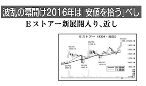 (株)Ｅストアー【4304】 【　10年前（2016年)　】 2015-2016 　ー。