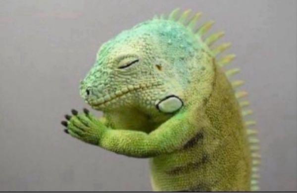 Ａｂａｌａｎｃｅ(株)【3856】 ソニックさんが助かりますよーに🙏