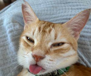 MIRARTH不動産投資法人【3492】 今焦って買うことはないよね。 2月増資時に買えば配当率7%狙えるかもね。