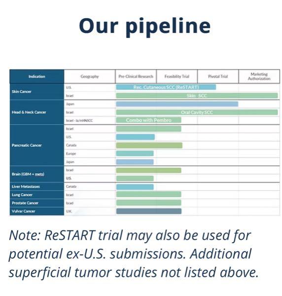 アルファ・タウ・メディカル【DRTS】 開発進捗一覧表の新設に応えてくれたDRTSに 感謝。頭頸部癌のピポダル試験(商業化治験) が日本で進んでいることも一目瞭然。 画期的なα線ガン放射線療法の到来は近い🍵