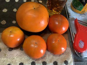 北浜キャピタルパートナーズ(株)【2134】 最近の20台でどうこうあと出汁旨い って　中学の頃の　グレカタかよ （グ　レ　タさんw？かっけえ？か？  まあ　数日　数時間で上下ったからって 　即　飛び付く　イ　ナ　ゴ　は少ないだろうと期待 （基本　即掴むのはﾏｶﾞﾅｲﾋﾄ 下げ局面でも） ば　ブランクか　あブランク　ほ　まブランク　ぬ　け　 その他　ワードにも意味があるのだが　一律禁　止 それこそ　表　現の自　由って、、、何処　に行　く？泣  さ　る　か　に　合　戦　カニどん　熟れたのをどうぞw まあ　経営陣が美味しい柿をくれるのを カニは、、、待つw、