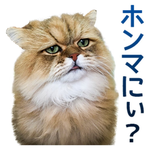 エムスリー(株)【2413】 月曜日は　　ストップ高？？？ でも　まだ含み損