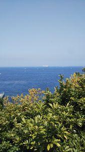 伊勢化学工業(株)【4107】 選挙で暴落か?