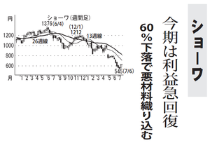 (株)ショーワ【7274】 【　10年前（2016年)　】 ～ 2016   ー。