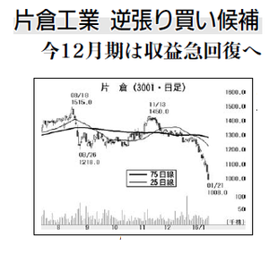 片倉工業(株)【3001】 【　10年前（2016年)　】 ～ 2016 　ー。
