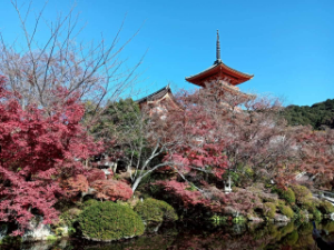 eMAXIS Slim米国株式(S&P500)【03311187】 いい感じー