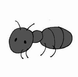 (株)フジタコーポレーション【3370】 ありんになるな!!