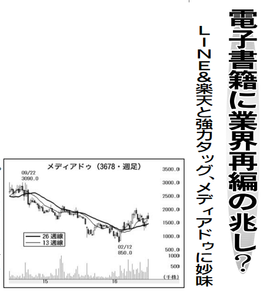 (株)メディアドゥ【3678】 【 10年前(2016年) 】 ~ 2016 ー。