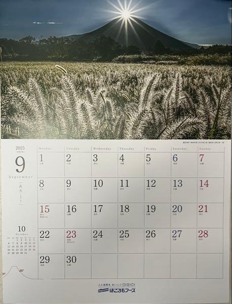 はごろもフーズ(株)【2831】 9月の優待では、来年度のカレンダー『富士山の四季』が付いてくる‼️ 毎年貰ってると何気に嬉しい*\(^o^)/*