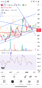 (株)ブロードバンドタワー【3776】 もう上がるやろ。☺️