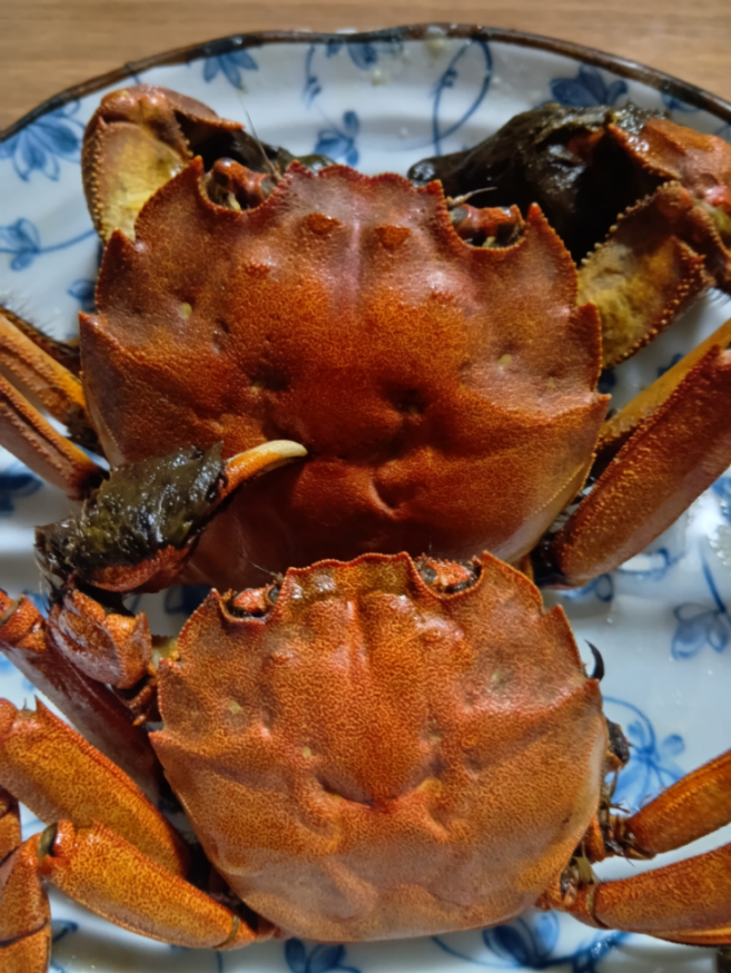 ＫＬａｂ(株)【3656】 美味いぞ🙋