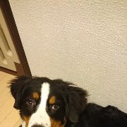 今日からジュウザ！！