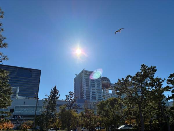 ライジーの居酒屋 快晴🌞ー🙂