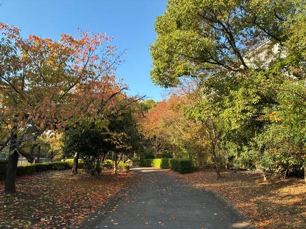 ライジーの居酒屋 紅葉🍁ー😊