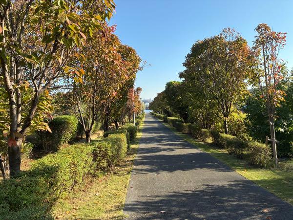 ライジーの居酒屋 哲学の道🛣️🙂