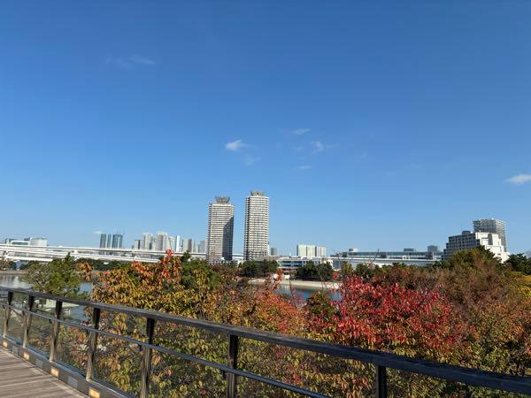 ライジーの居酒屋 晴れ🌞ー😊