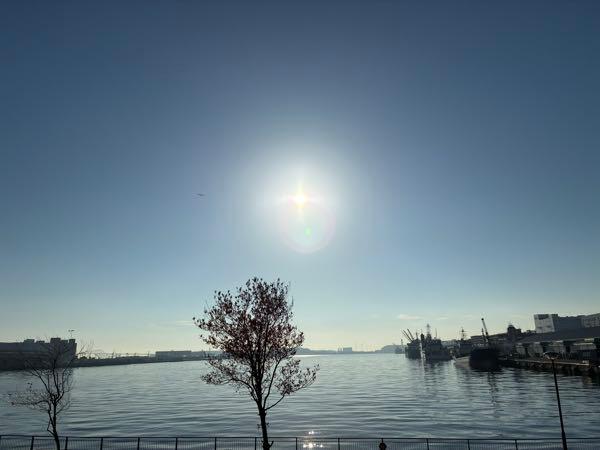ライジーの居酒屋 飛行機✈️😊
