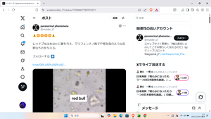 ペンペンのペンペンペンペン♪ (o・д・)