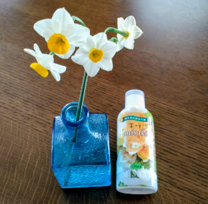 OATアグリオ(株)【4979】 毎年正月に庭の水仙が咲いて、 切り花を室内に飾るけど、 ここの優待のmisakiを使うと花持ちが確かに良い🤗 他の液肥はイマイチ効果がわからないけど、なんとなく使ってます🤔 多分何かしら効いてるんでしょう🧐
