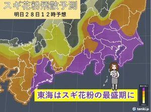 (株)ファンペップ【4881】 全国的にスギ花粉が多い日々 花粉の出ないスギの植替えが 進んでいるのに毎年コレだものな これから先1ヶ月続くのだから 頼るところはファンペップたいうことやな