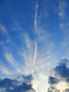 空売り情報局 🙏