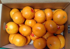 デリカフーズホールディングス(株)【3392】 メロンから蜜柑へ格下げ。 ただしメロンより蜜柑のが好き。 蜜柑優待を強く打ち出してたら売却しなかったのにな。ちなみに椎茸は真っ黒。 どれか一つに必ず難があるね。以前は小松菜だったし