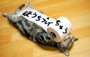 楽勝(`・д・´) 立てっ放しはアカンぞ( `Д´)ノ