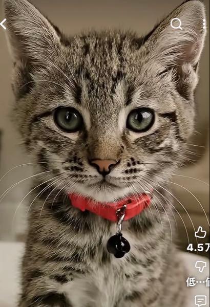 王子ホールディングス(株)【3861】 😄　年末ドリームジャンボお買い得株‼️  　　　　　　　　目標株価　千円　🌈