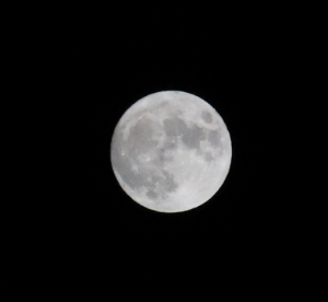 月と雲と…黒幕の部屋 一眼で月撮るとこんな感じ