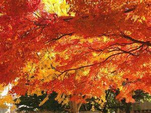 ＴＤＳＥ(株)【7046】  時価総額が、あまりにも安く～ ＰＢＲ１０倍位で＝6倍価格の1万円～で、 ここも、大手企業に、ＴＯＢされそう～？  NTTデータも、ＮＴＴにＴＯＢされ～～～  ３６５５も、ＰＢＲ１０倍でＴＯＢされて、～  3961　シルバーエッグも、 ＴＯＢされて、～  このセクターは、宝庫、宝の山