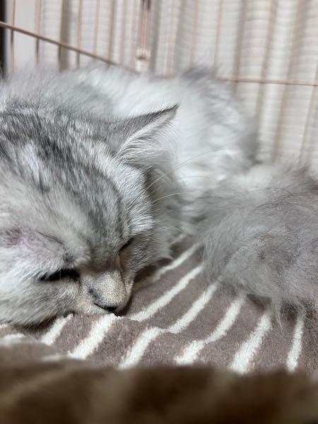 ゴープロ【GPRO】 !