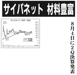 サイバネットシステム(株)【4312】 【　10年前（2016年)　】 ～ 2016 ー。