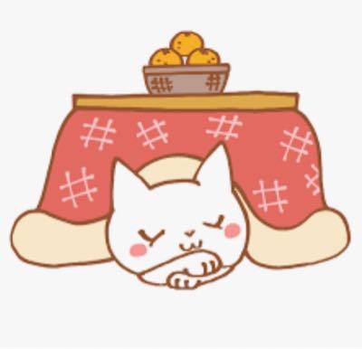 あきひこ163センチ 2nd 乙女さん、、こんにちはー!!😺😺 今日のキオクシアショックはまだまだ序盤で、、来週の20日の朝方かな?? この流れで、、 エヌビディアも決算でコケてもうたら、、えらいこっちゃ〜になりそうですねー。。。😆😆 このネコは幸い風邪引きにくい感じなのですが、、来週はまた一段と寒くなるみたいですので、、 乙女さんも体調管理など気をつけてくださいねー!!⛄️⛄️