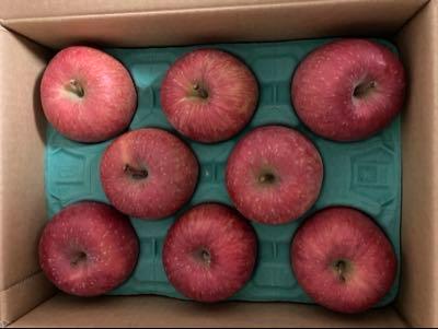 (株)アークス【9948】 優待のりんご3㎏です